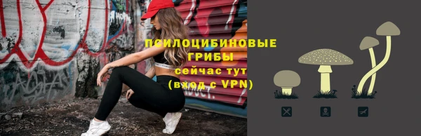 прущие грибы Заволжск