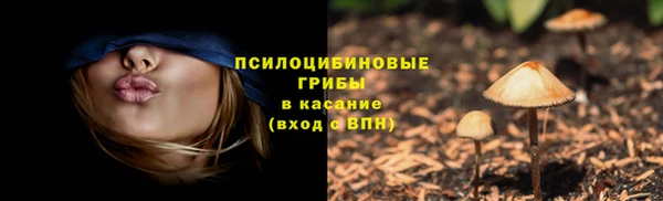 каннабис Зеленокумск