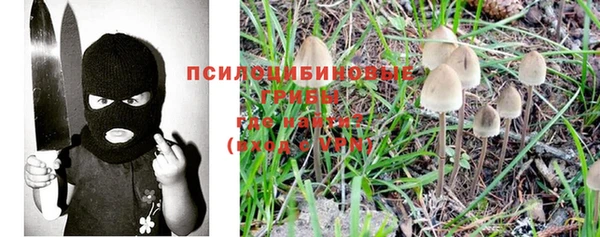гашик Зерноград