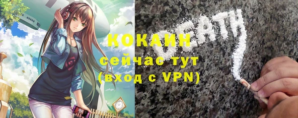 гашик Зерноград