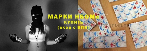 гашик Зерноград