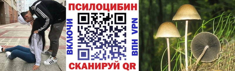 наркошоп  Сольцы  Галлюциногенные грибы Magic Shrooms 